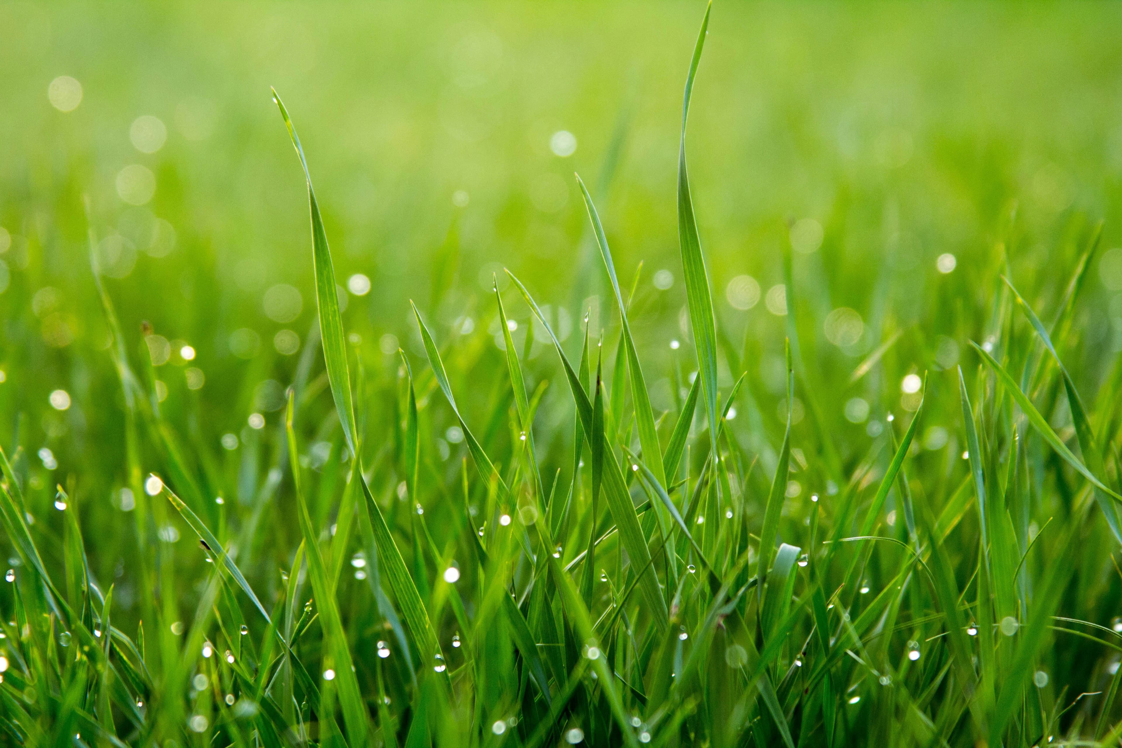 Press release - Carbon4 Finance launches a new offer about green bonds 